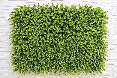 《消逝的光芒：困兽》PC配置需求 推荐RTX3070Ti