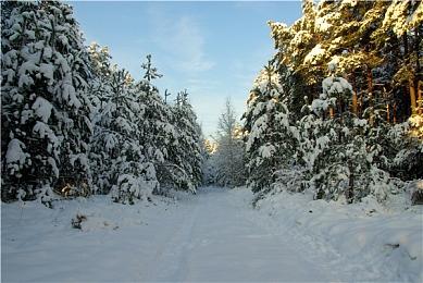 《红至日2：终结者》迎来更新 新增终结者职业